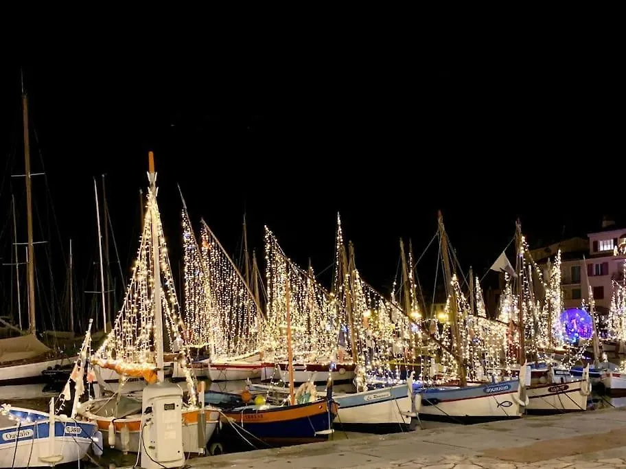Coup De Coeur A Sanary Sur Mer 法国